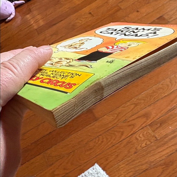 Vintage Book -Bil Keane’s The Family Circus Sam’s Takin a Catnap! - Picture 8 of 8